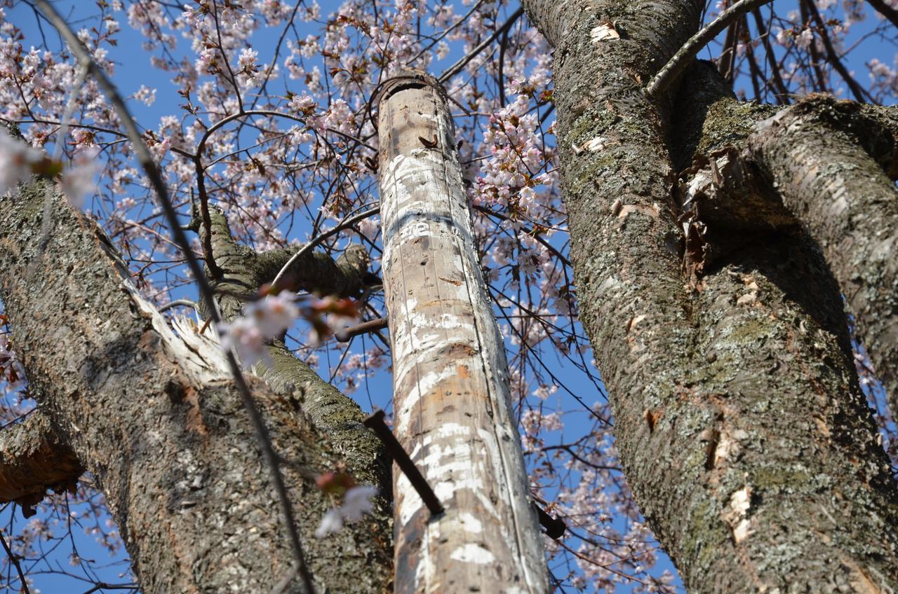 Artinn 極寒藝術伝染装置 Teshikaga Экстерьер фото